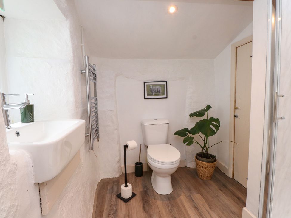 A bathroom with a sink, toilet and towel warmer at Felin Bach in Aberdaron