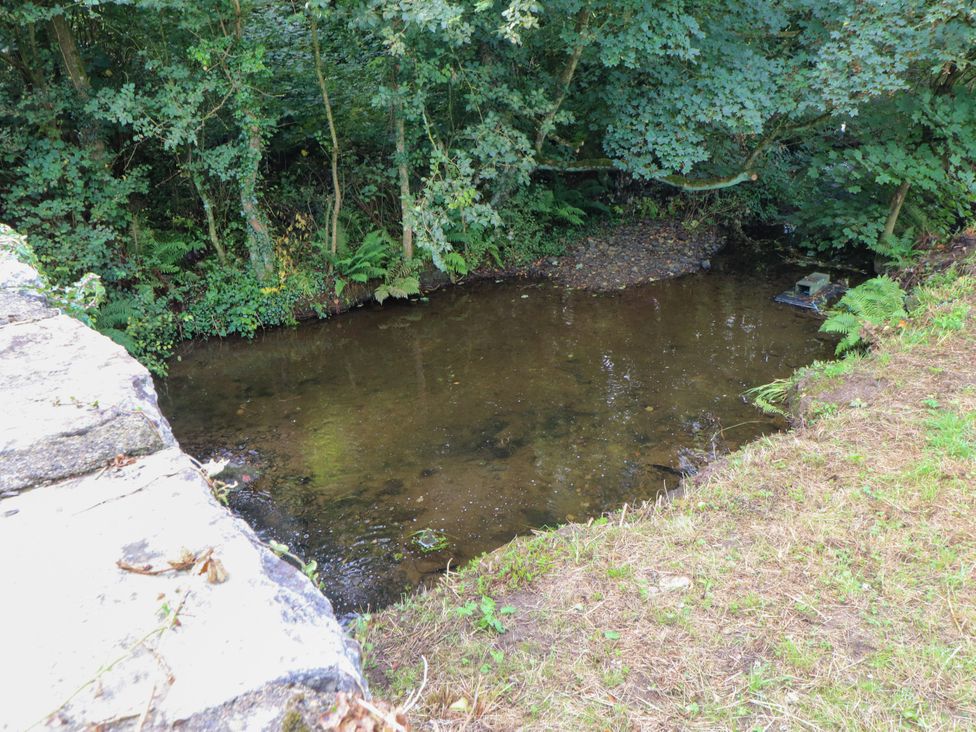 A stream surrounded by trees and grass at Felin Bach Aberdaron