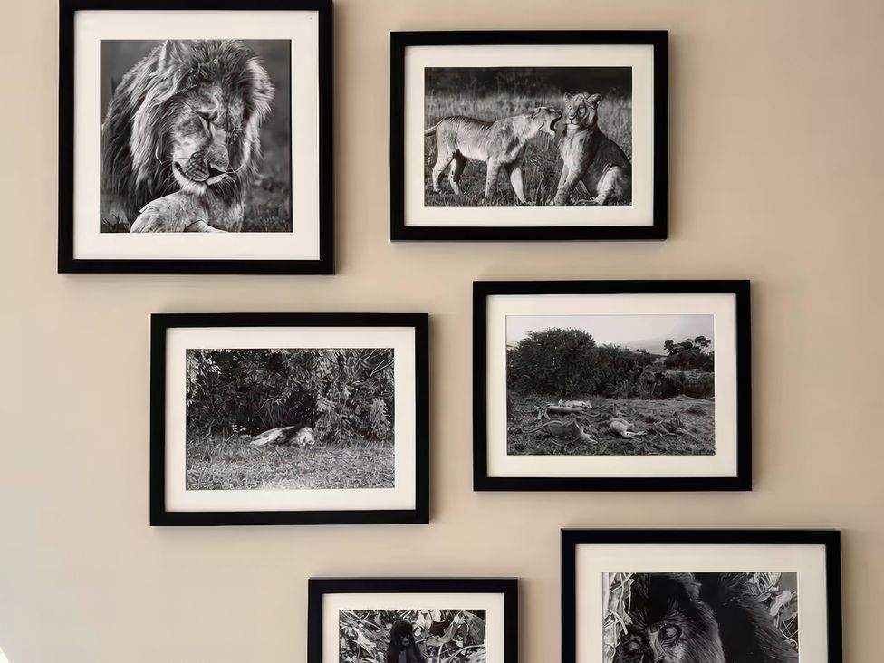 A wall displaying black and white animal photographs at Apt. 3 in York