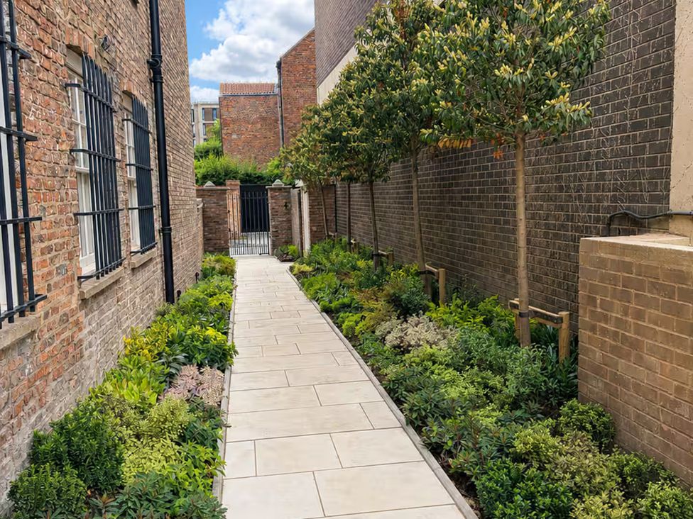A pathway lined with plants and trees at Apt.4 in York