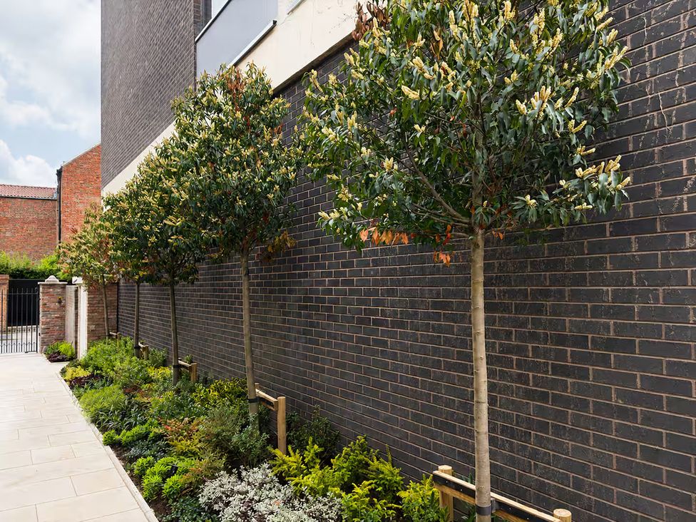 A garden with trees and plants against a brick wall at Apt.4 York