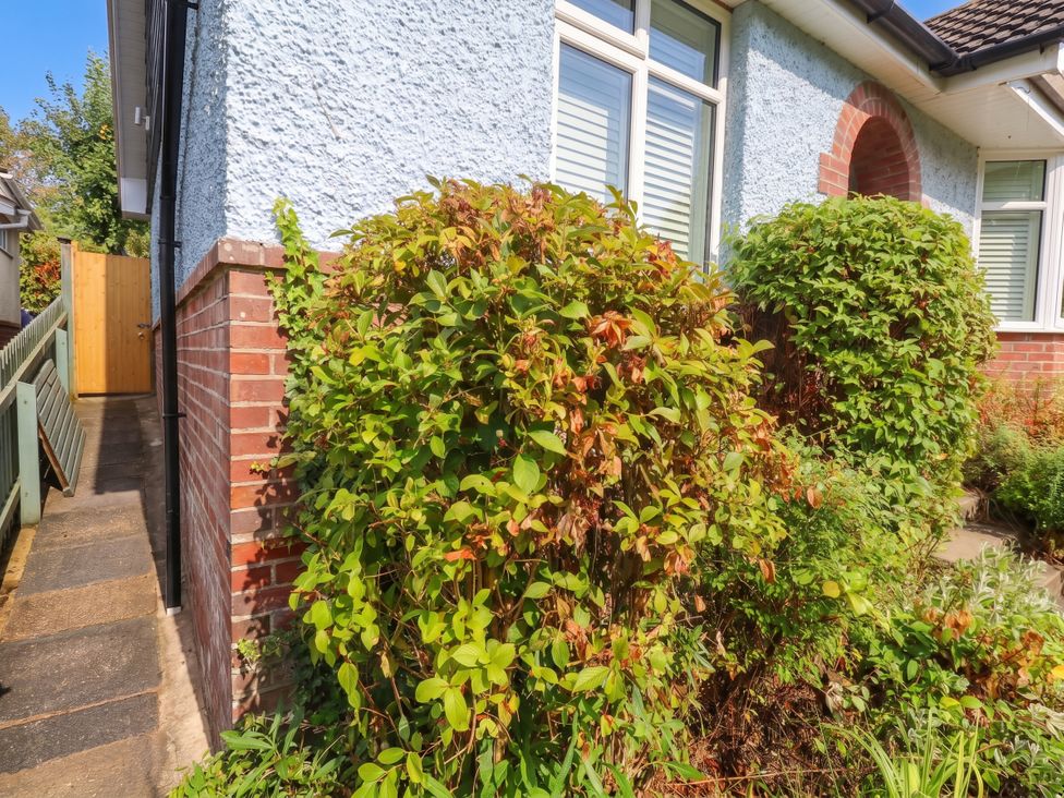 Bushes and a pathway beside a house at Sunnydale near Corfe Mullen