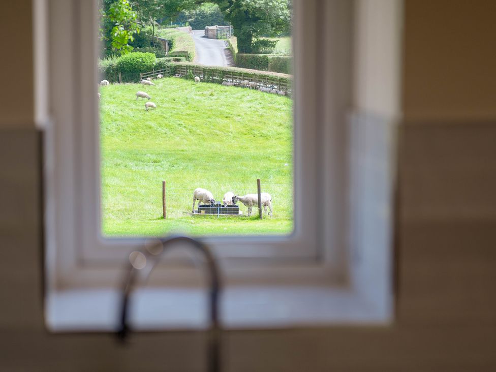 A view of sheep grazing in a field through a window in a kitchen at Bay Bungalow