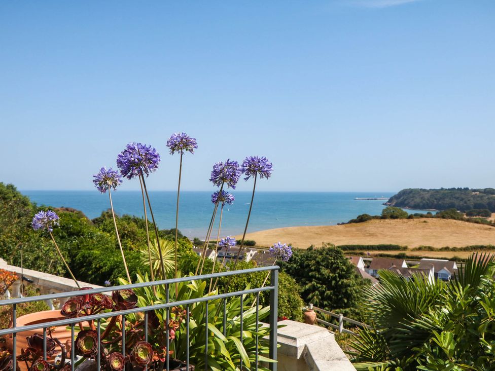 A view of the sea with flowers in the foreground at Elberry Cove View in Paignton