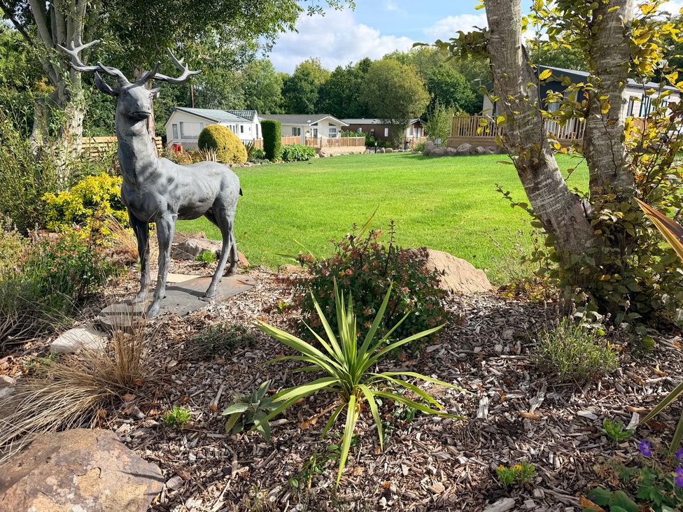 A garden with a deer statue and various plants at Boutique Lodge in Cheriton Bishop