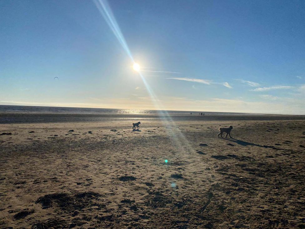 A beach scene with dogs and people at Ashbourne House in Burnham-On-Sea