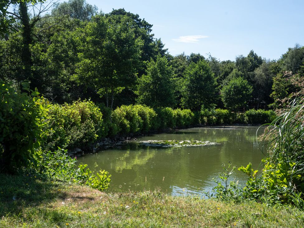 A pond surrounded by trees and bushes at Lakewood Plot 7 in St. Osyth