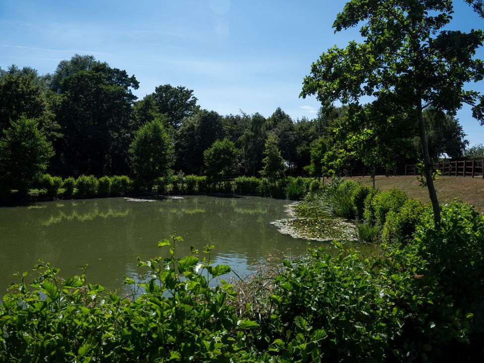 A pond surrounded by trees and bushes at Lakewood Plot 7 St. Osyth