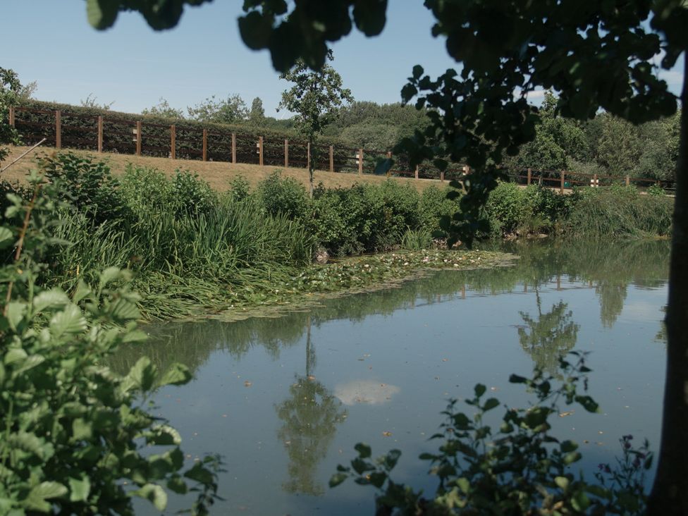 A pond with vegetation and reflections at Lakewood Plot 7 in St. Osyth