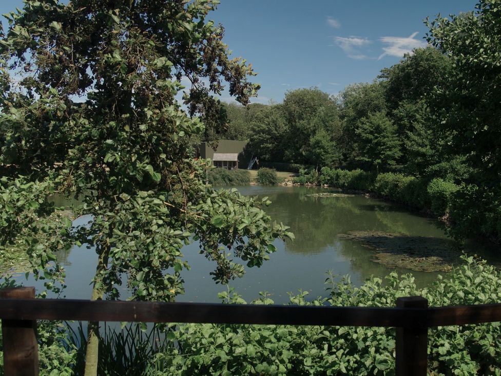 A view of a pond with a tree and bushes at Lakewood Plot 7 St. Osyth