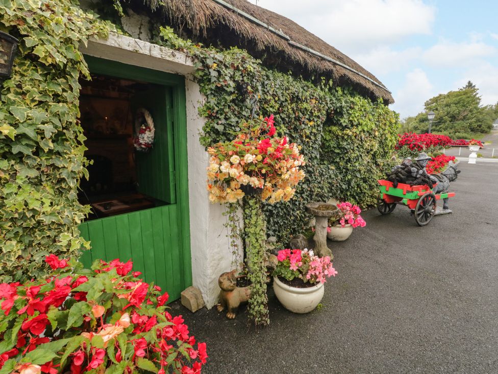 An outdoor area with a green door and planters at Teresa's Cottage
