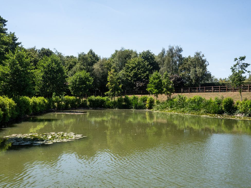 A pond surrounded by trees and bushes at Lakewood Plot 9 in St. Osyth