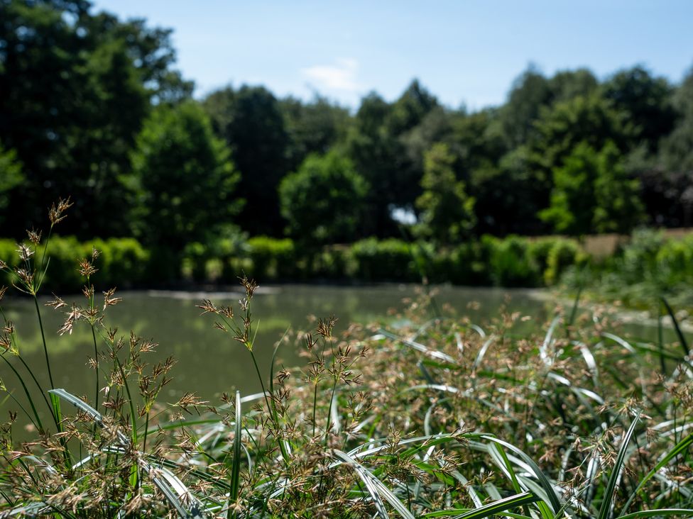 A pond surrounded by grass and trees at Lakewood Plot 9 St. Osyth