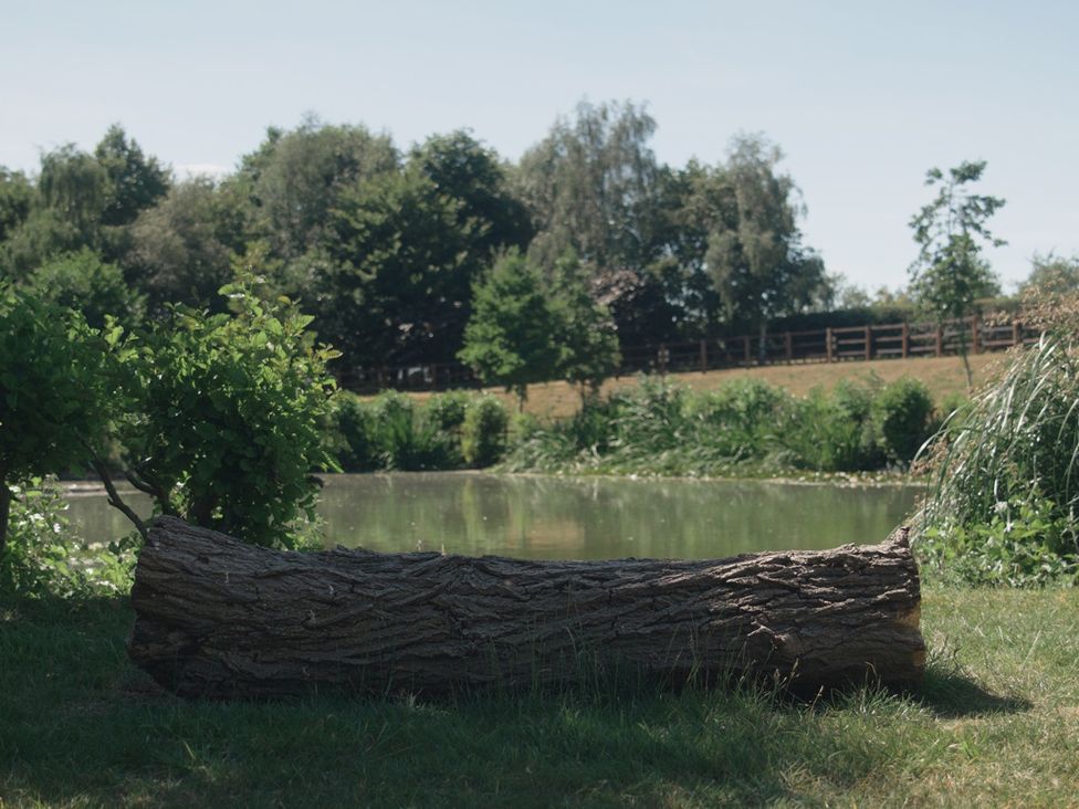 A log near a pond surrounded by grass and trees at Lakewood Plot 9 St. Osyth