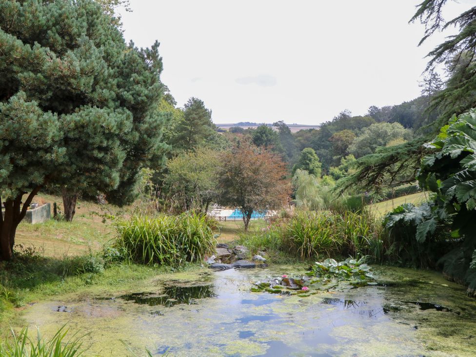 A garden with a pond and a pool in the background at 12 Courtyard Cottage at Sheplegh Court, Totnes