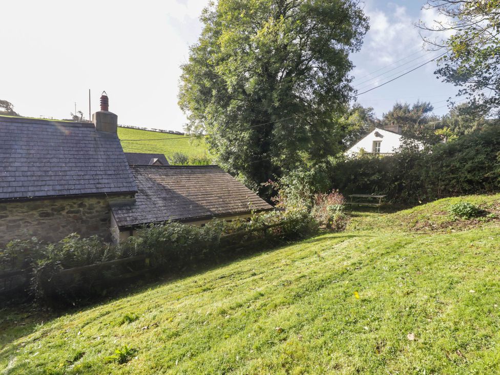 A garden with grass and trees at Ty'r Wennol in Fishguard