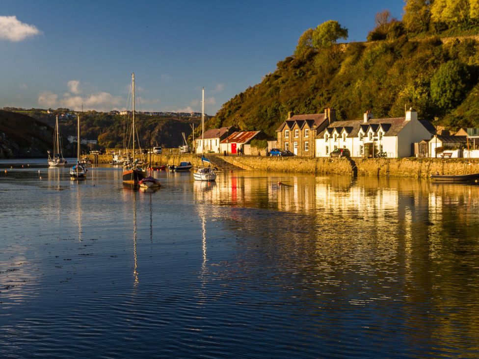 A marina with boats and houses near a water body at Ty'r Wennol in Fishguard