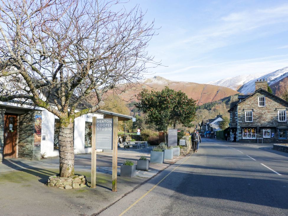 A street view with a tree and buildings at Heaton Cooper Studio in Grasmere