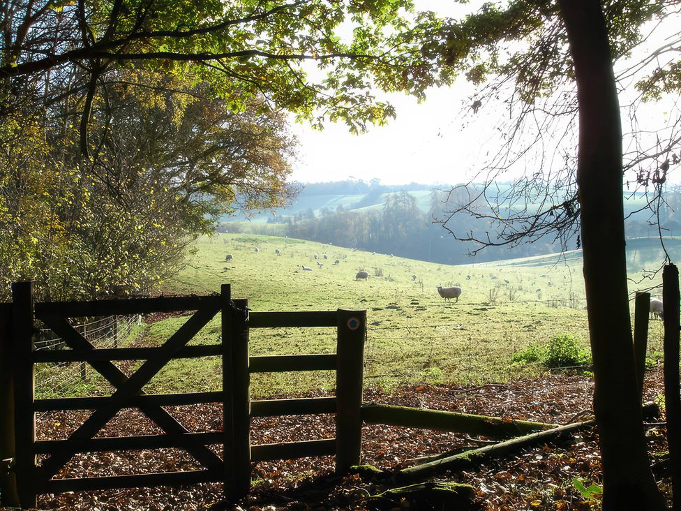 A view of a field with sheep through a gate at Chestnut Lodge in Worcester