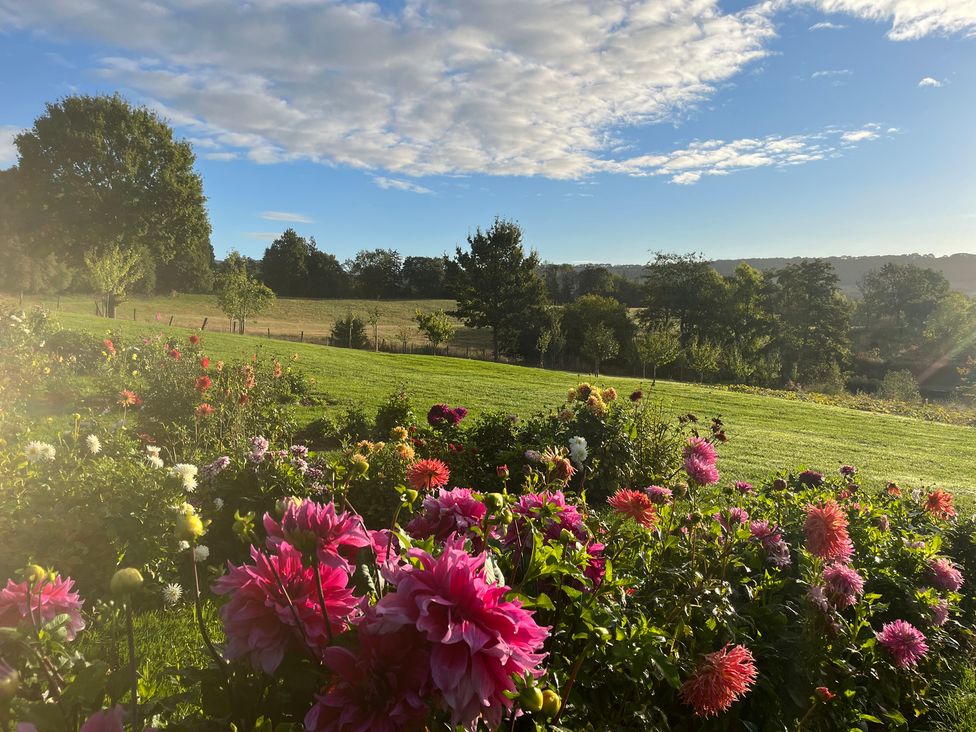 A garden with flowers and trees at Chestnut Lodge in Worcester