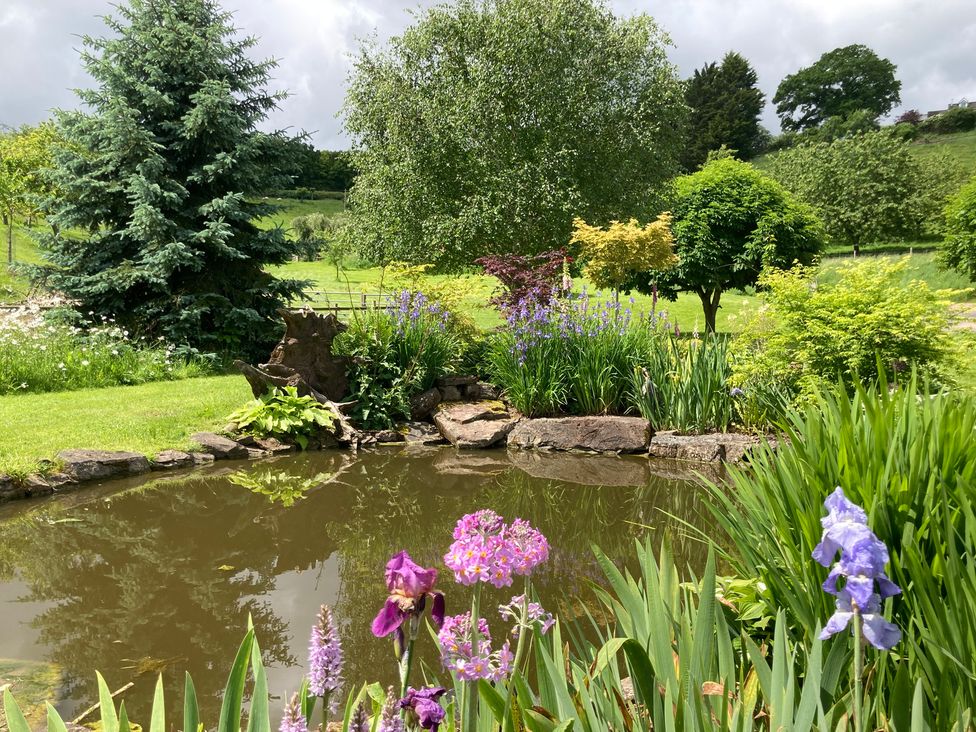 A garden with a pond surrounded by flowers and trees at Kingfisher in Worcester