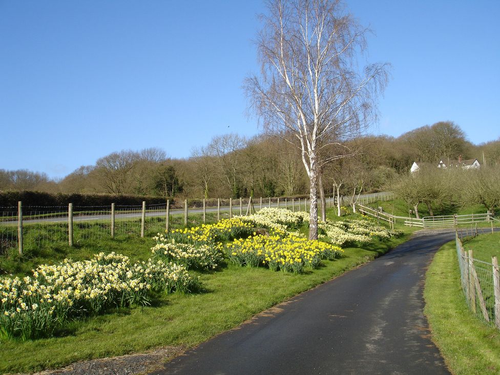 A pathway with flowers along the side at Kingfisher in Worcester