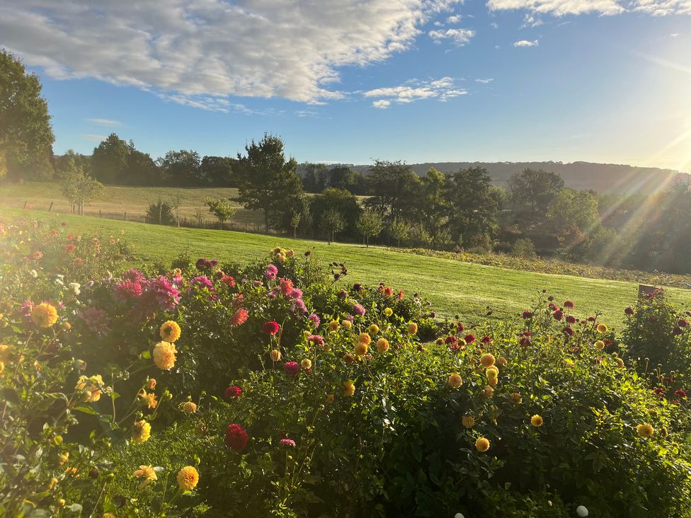 A landscape with flowers and hills at Kingfisher in Worcester