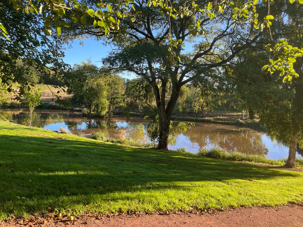 A landscape view featuring trees and a pond at Kingfisher in Worcester