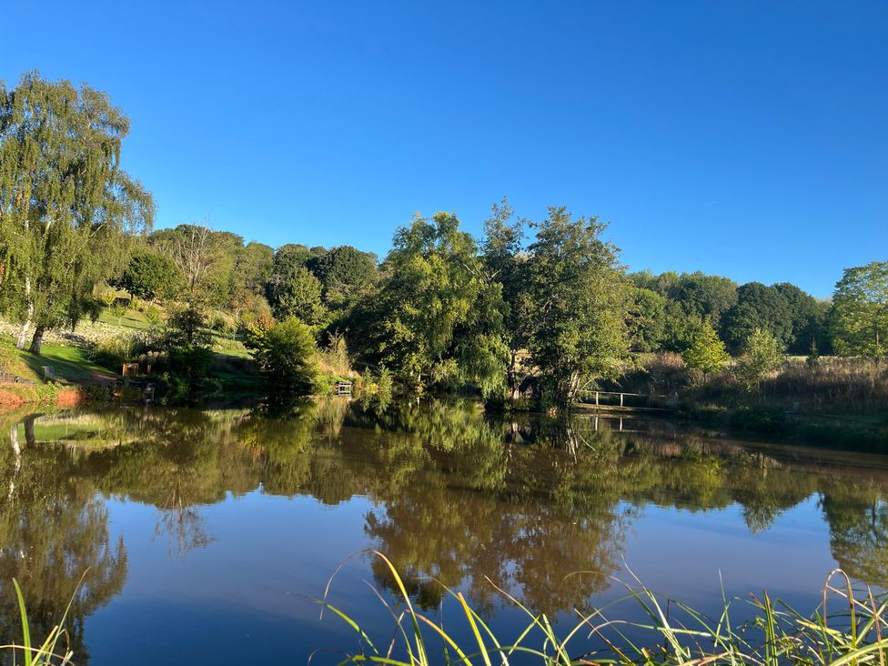 A scenic view of a pond surrounded by trees and grass at Kingfisher in Worcester