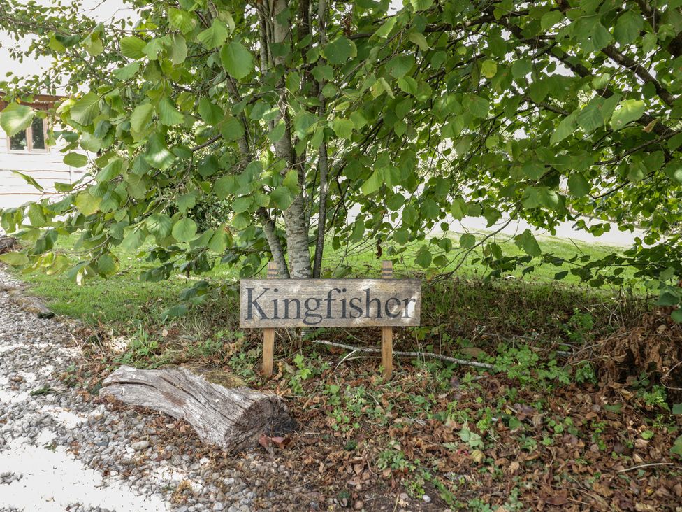 A sign labeled Kingfisher near a tree at Kingfisher Worcester