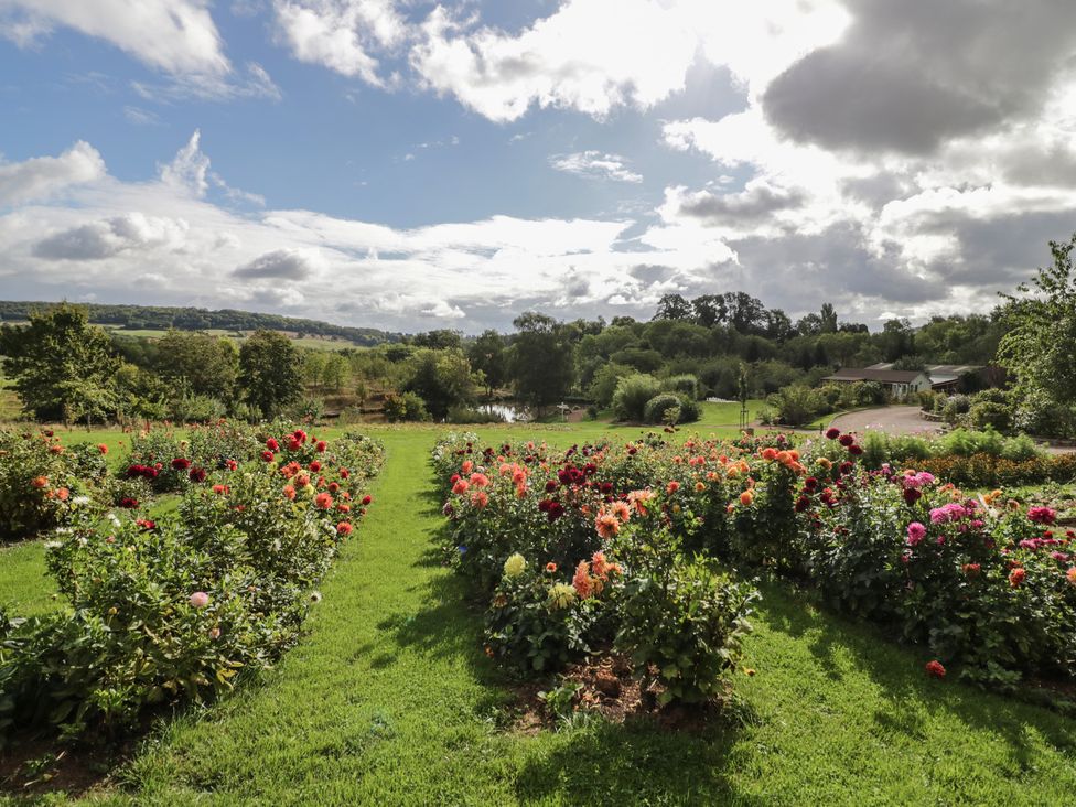 A garden with flowers and trees at Kingfisher in Worcester