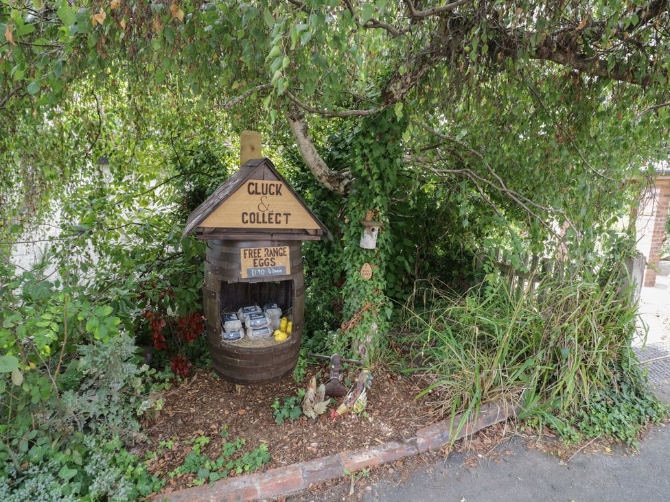 An outdoor egg collection stand with plants and decorations at Kingfisher in Worcester