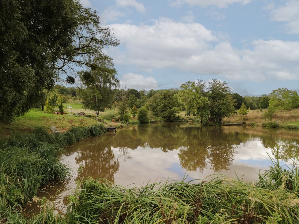 A pond surrounded by grass and trees at Kingfisher in Worcester