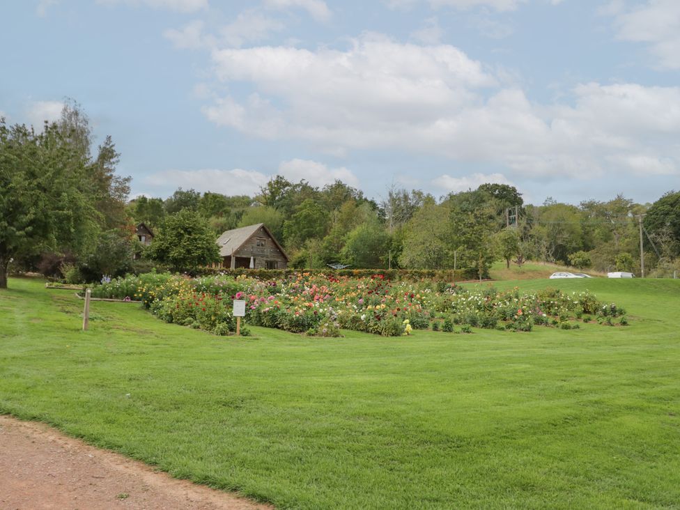 A garden with flowers and a wooden house at Kingfisher in Worcester