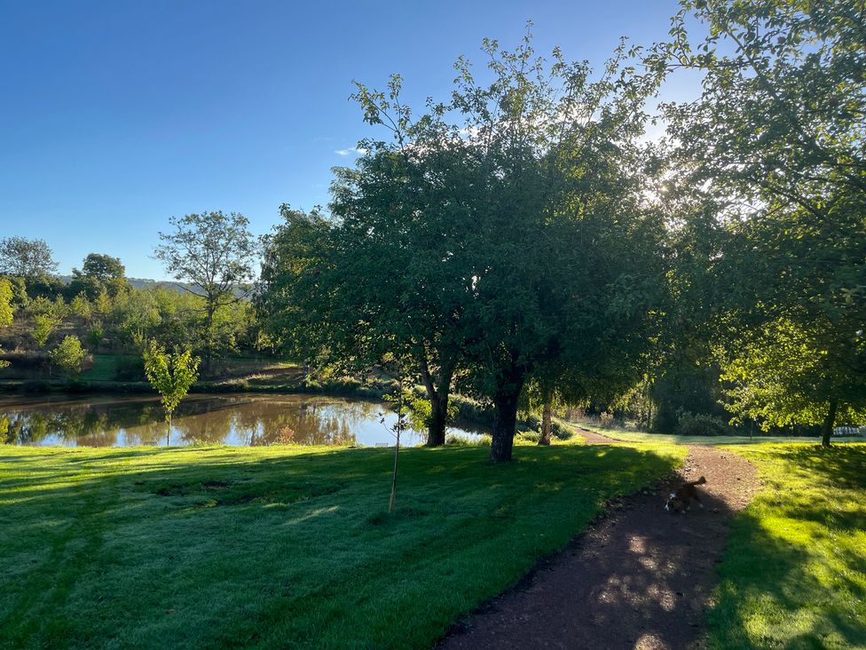 A park with trees and a pond at Chaff House in Worcester