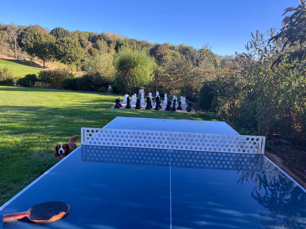 A ping pong table with a chess set and a dog in the background at Chaff House Worcester