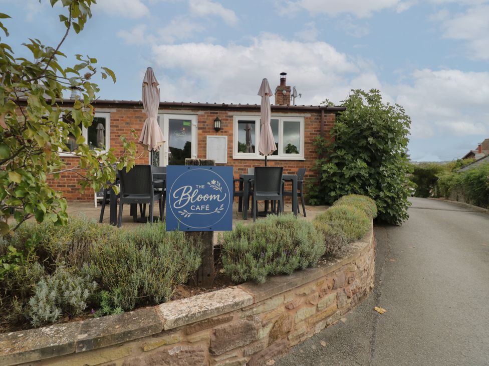 Outdoor seating area with a sign for The Bloom Cafe in Worcester