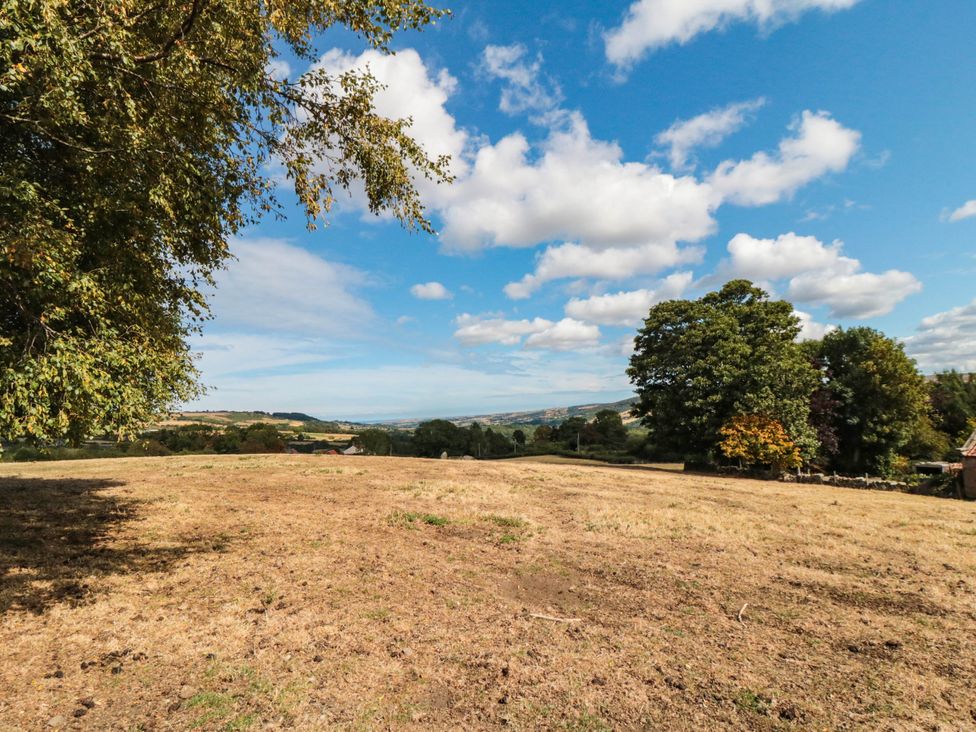 A landscape with trees and hills at Windy Ridge Lodge in Egton