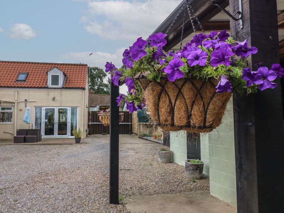 A garden with a hanging basket of purple flowers at Millstone Cottage in Ripon