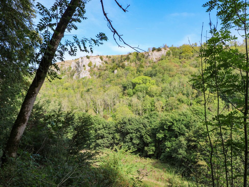 A view of a wooded area with a cliff in the background at 73 Ravensdale Cottages Cressbrook near Litton, Derbyshire