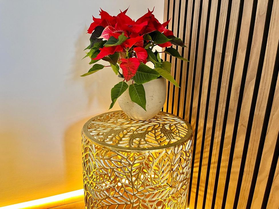 A plant in a pot on a decorative table with wooden paneling at Luxurious guest house in Yorkshire with parking, Hemingbrough, Yorkshire