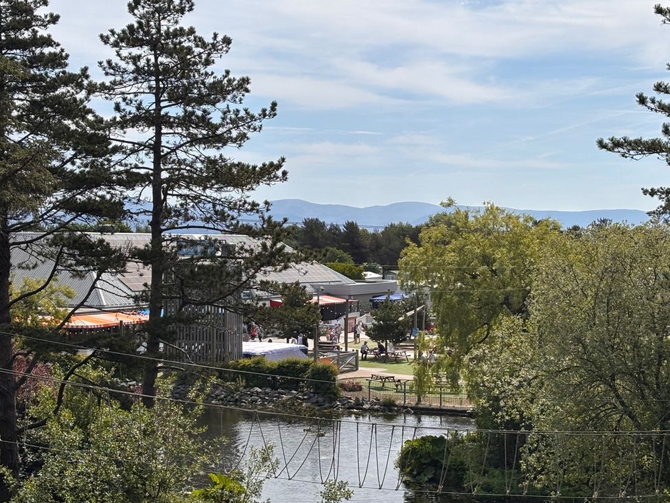 A view of outdoor area with trees, water, buildings, and people