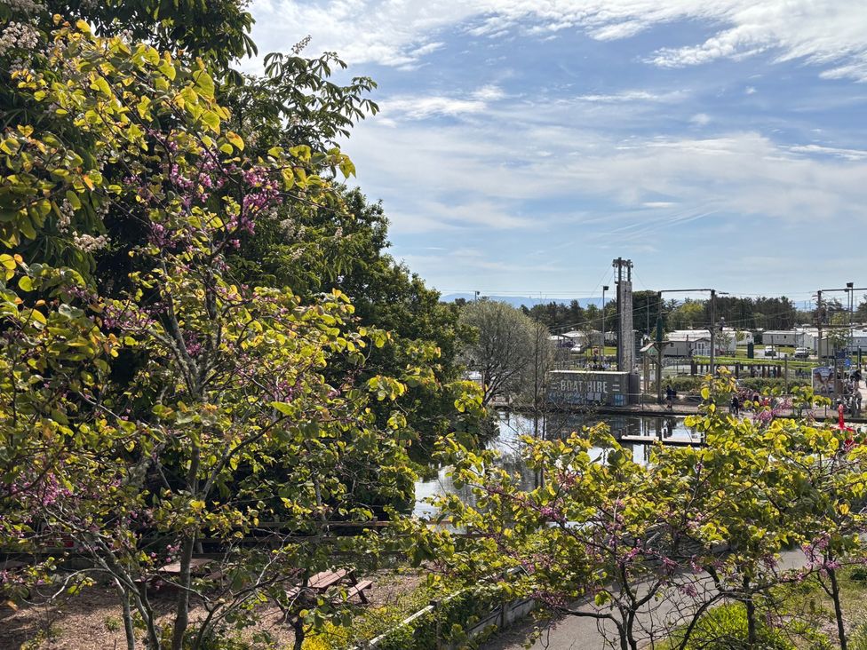 A view of trees and water with a boat hire container at an outdoor park