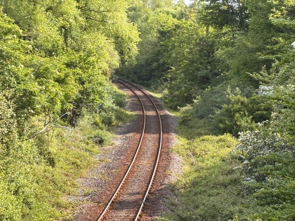 A view of railroad tracks surrounded by trees and bushes