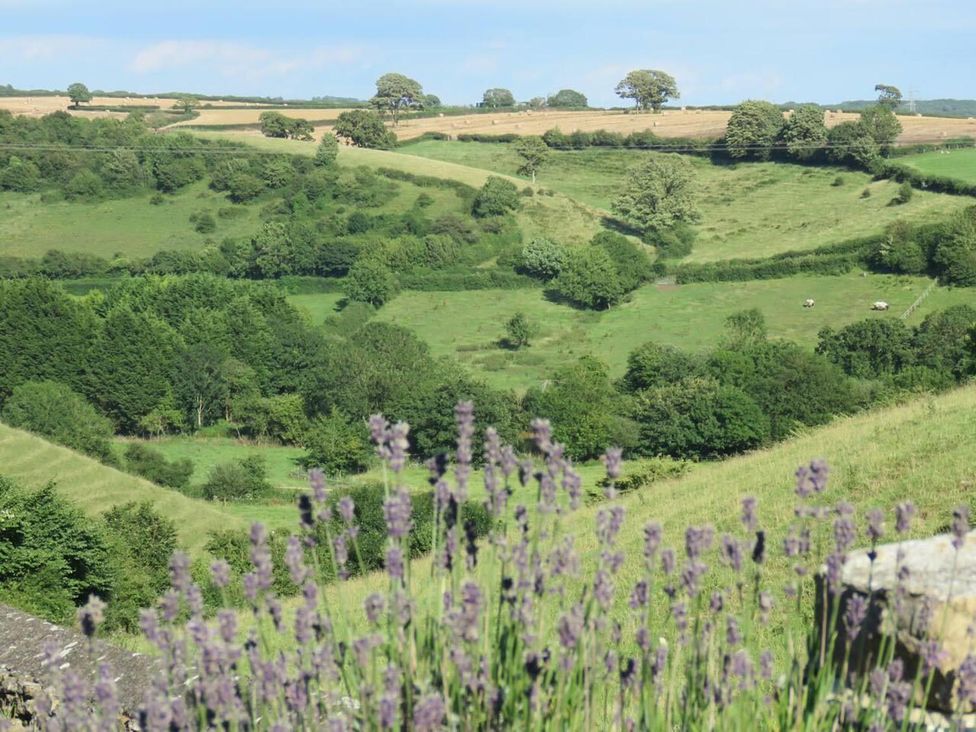 A scenic landscape featuring trees and a field with sheep at Vale of Glamorgan - Cottage - Sleeps 4 - Parking in Llancarfan near St Athan