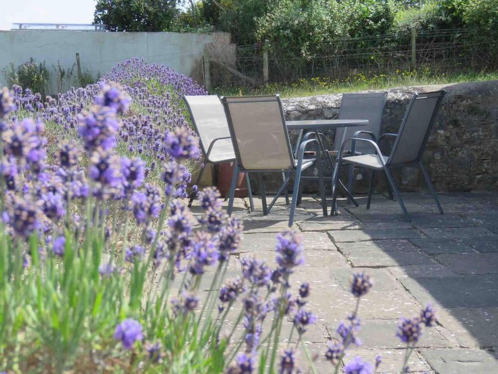 A garden with chairs and table surrounded by lavender at Vale of Glamorgan - Cottage - Sleeps 4 - Parking in Llancarfan near St Athan
