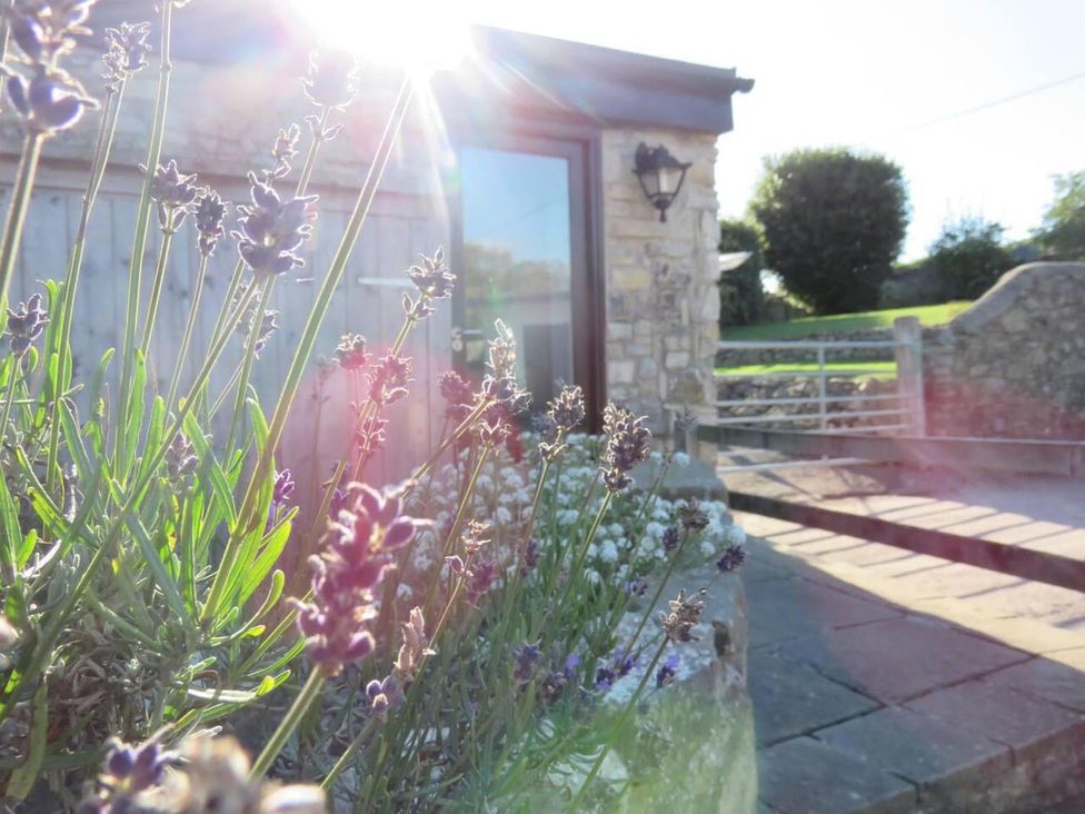 A garden with lavender plants near a stone wall at Vale of Glamorgan - Cottage - Sleeps 4 - Parking Llancarfan near St Athan