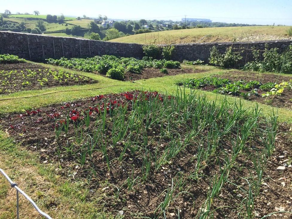 A garden with vegetable plots and onions growing at Vale of Glamorgan - Cottage - Sleeps 4 - Parking in Llancarfan near St Athan