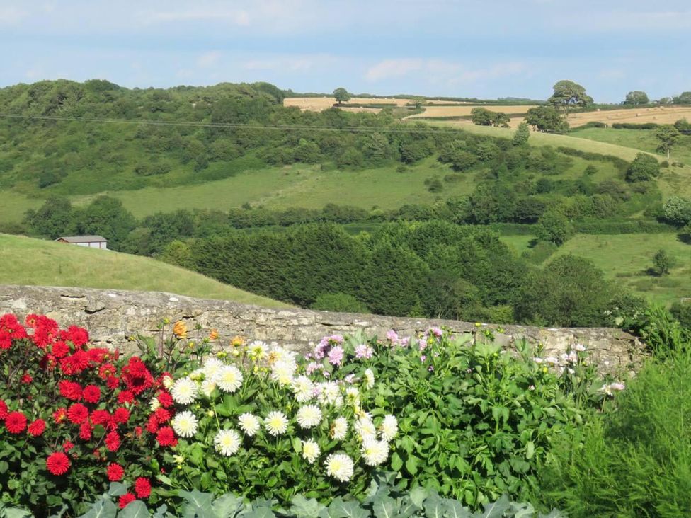 A view of fields and flowers in a rural landscape at Vale of Glamorgan - Cottage - Sleeps 4 - Parking in Llancarfan near St Athan