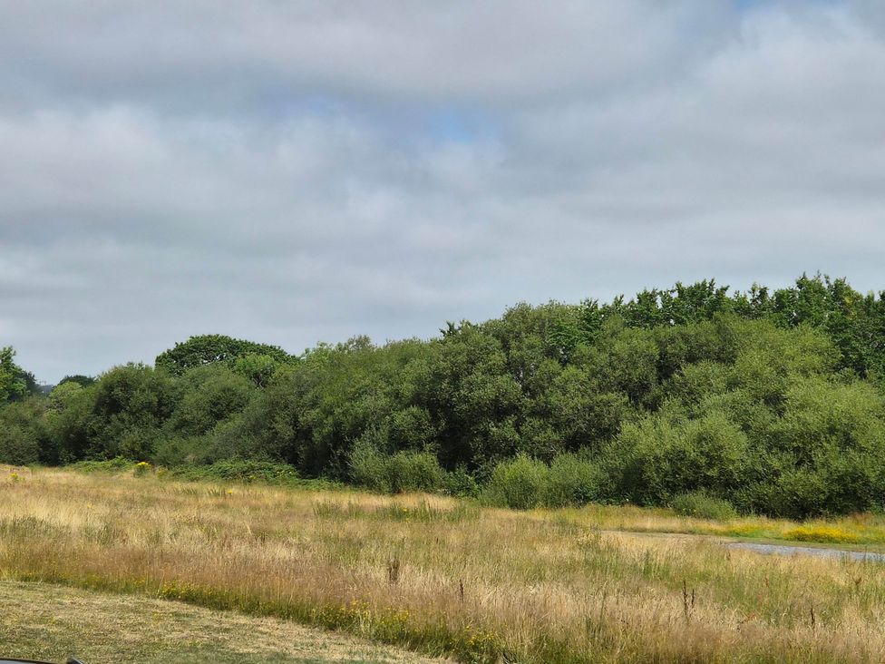 A landscape with grass and bushes at Cabin - Sleeps 6 - Outdoor Pool and Parking, Cenarth
